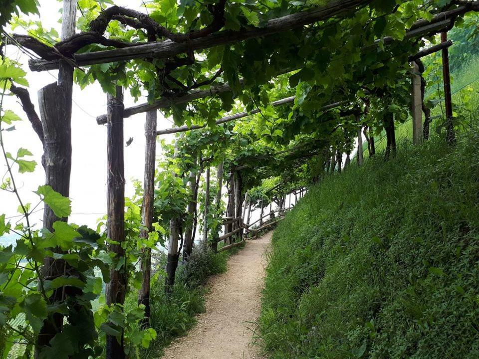 La Casa Rosa di Segusino  Villa Sequsino Bagian luar foto