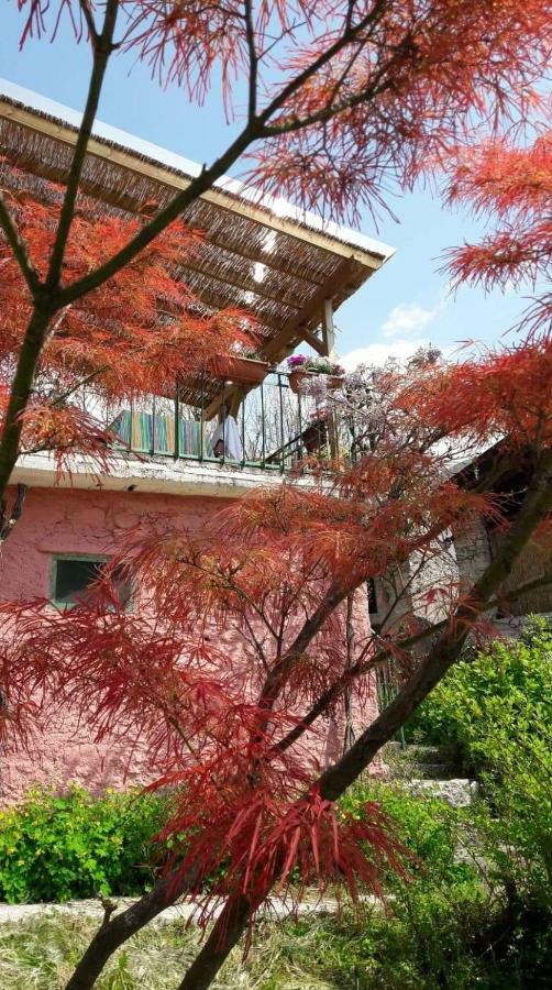 La Casa Rosa di Segusino  Villa Sequsino Bagian luar foto